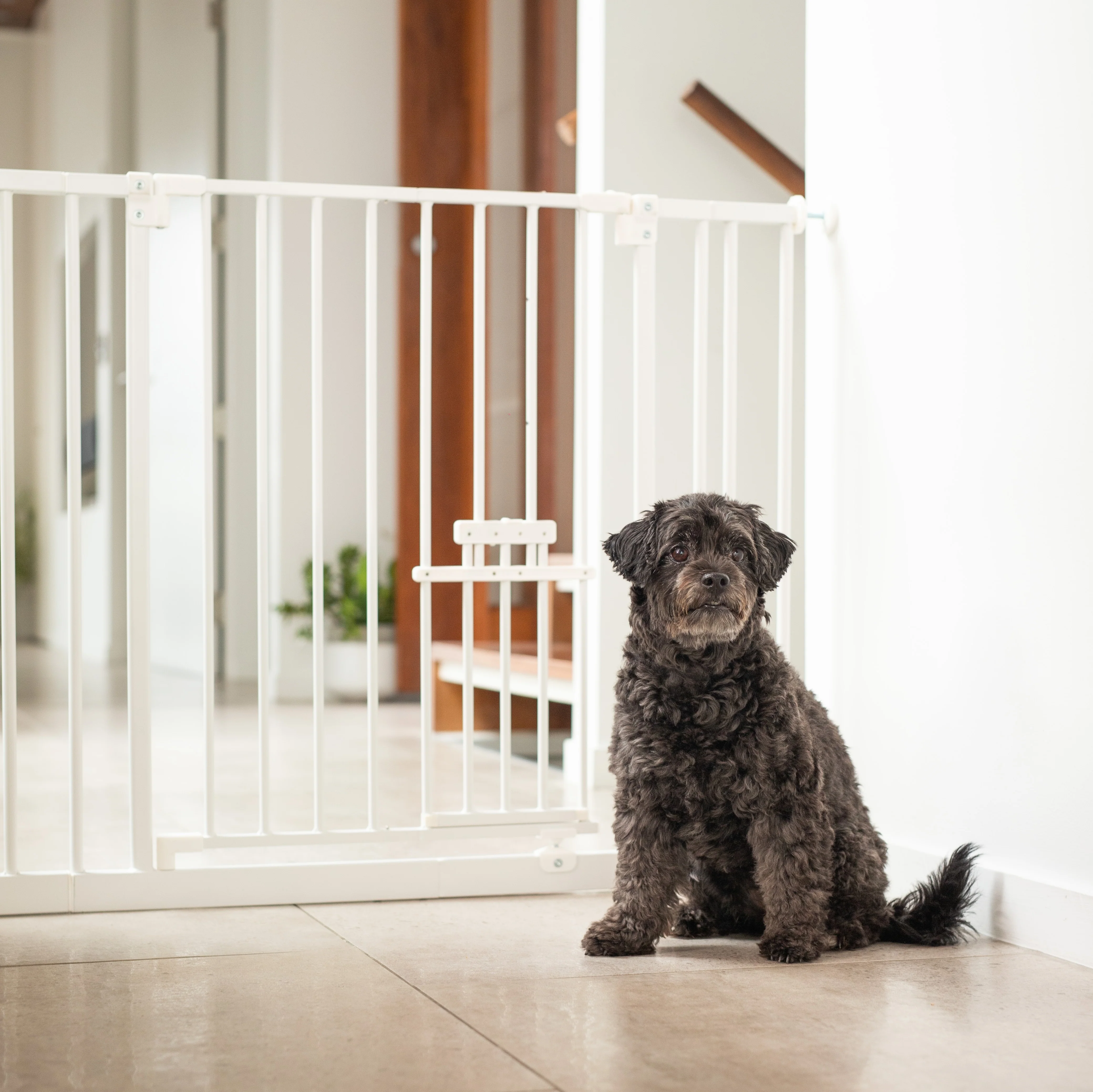 Easy Fit Pet Gate | Extra Wide | 1.12m W x 0.76m H - Image 5