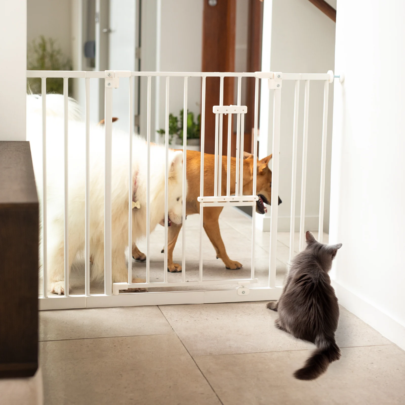 Easy Fit Pet Gate | Extra Wide | 1.12m W x 0.76m H - Image 6